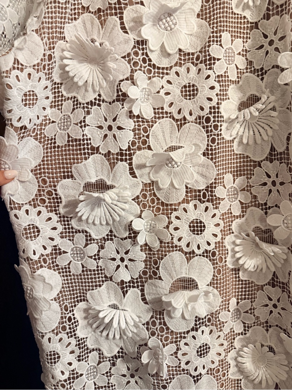 Buddy Love White Floral Crochet Maxi Dress - Picture 8 of 9